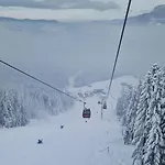 Suzii Appartement Pale