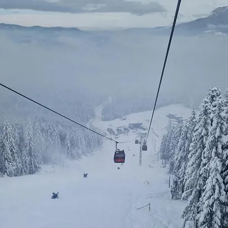 Suzii アパート パレ