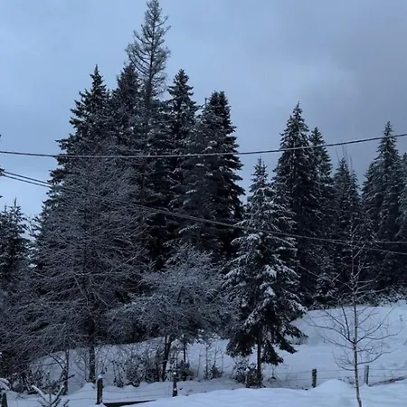 アパート Suzii パレ